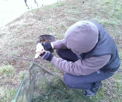 Floarea Popestiului 23 - 23 feb. - Salut!